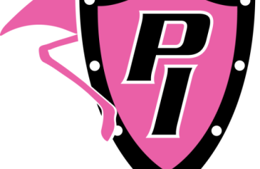 Flamingo-Shield-Motto